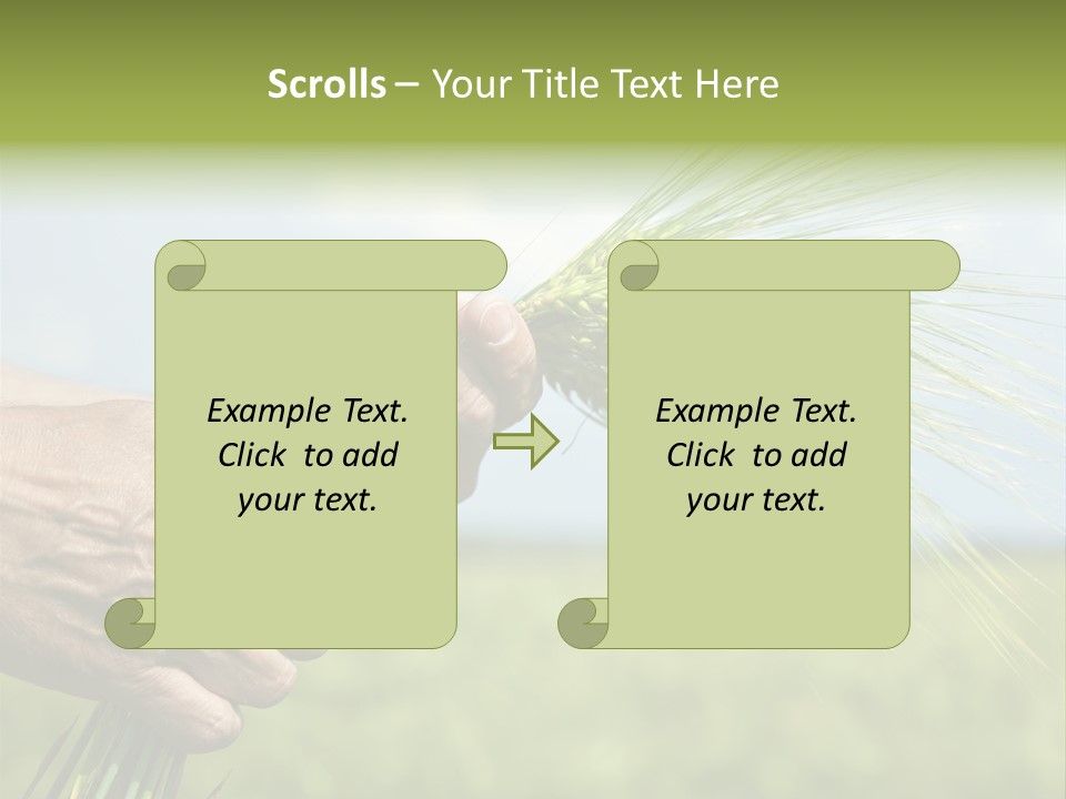 Food Keep Summer PowerPoint Template