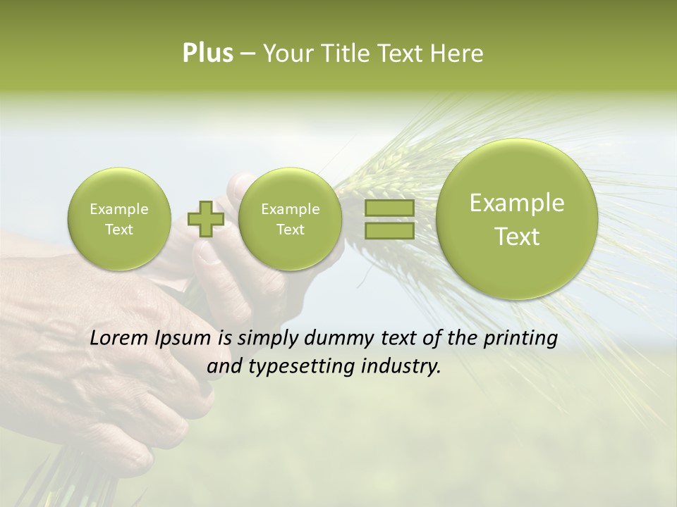 Food Keep Summer PowerPoint Template