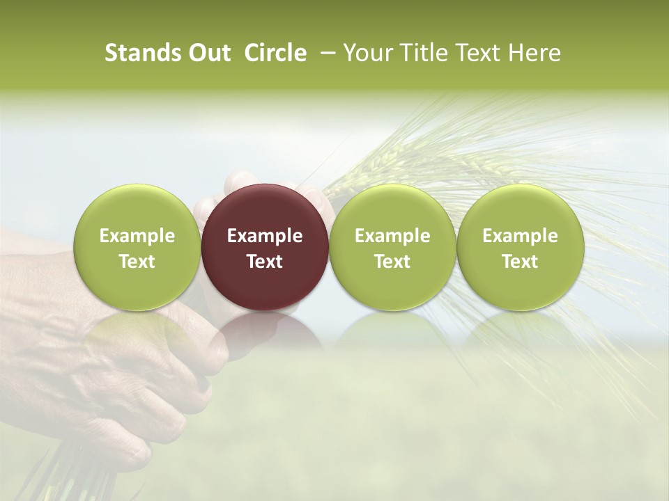 Food Keep Summer PowerPoint Template