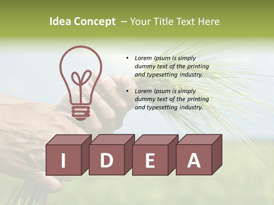 Food Keep Summer PowerPoint Template