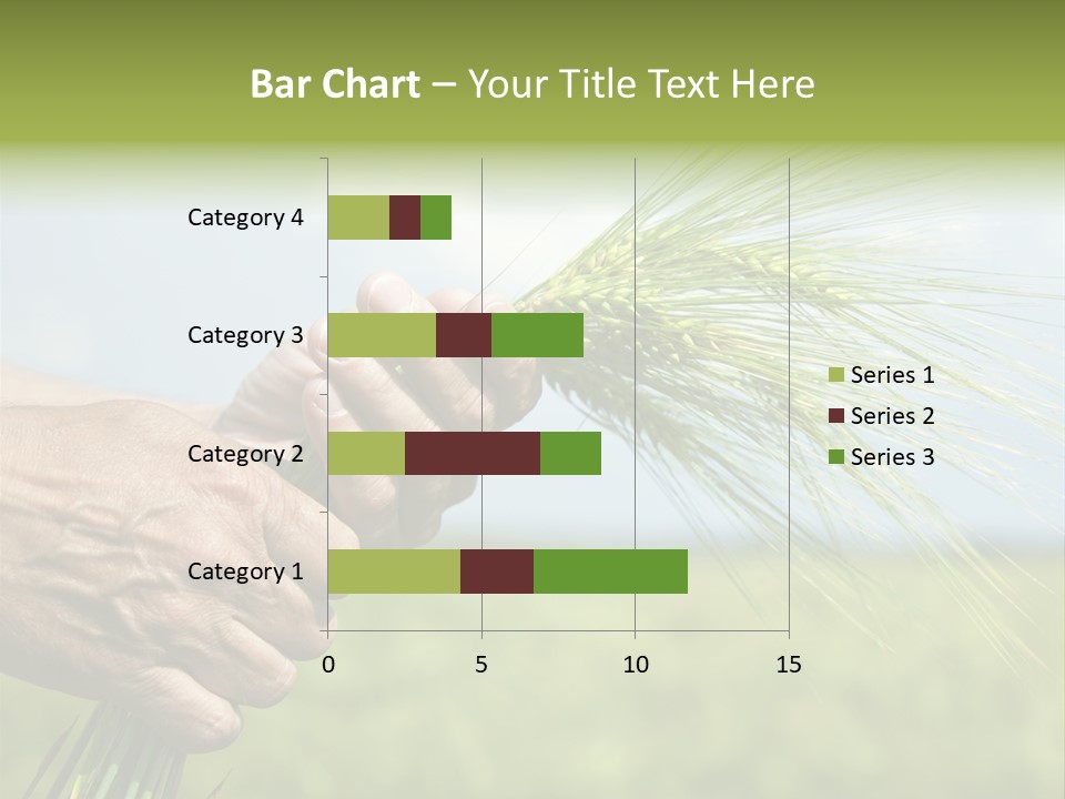 Food Keep Summer PowerPoint Template