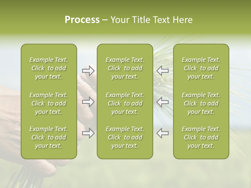 Food Keep Summer PowerPoint Template