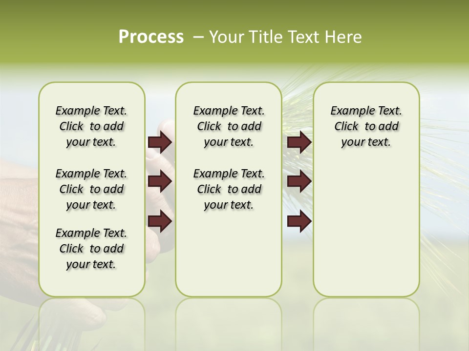 Food Keep Summer PowerPoint Template