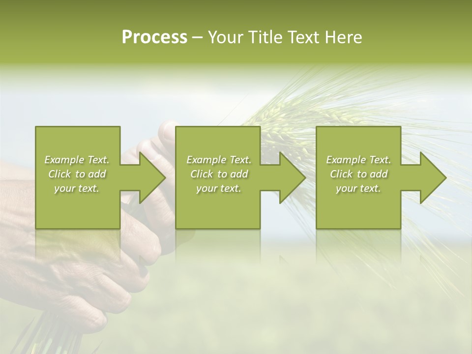 Food Keep Summer PowerPoint Template