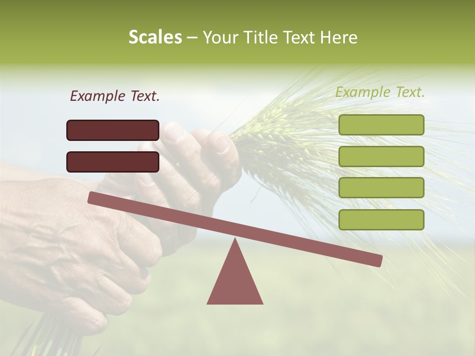 Food Keep Summer PowerPoint Template