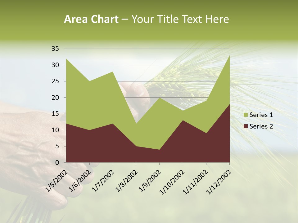 Food Keep Summer PowerPoint Template