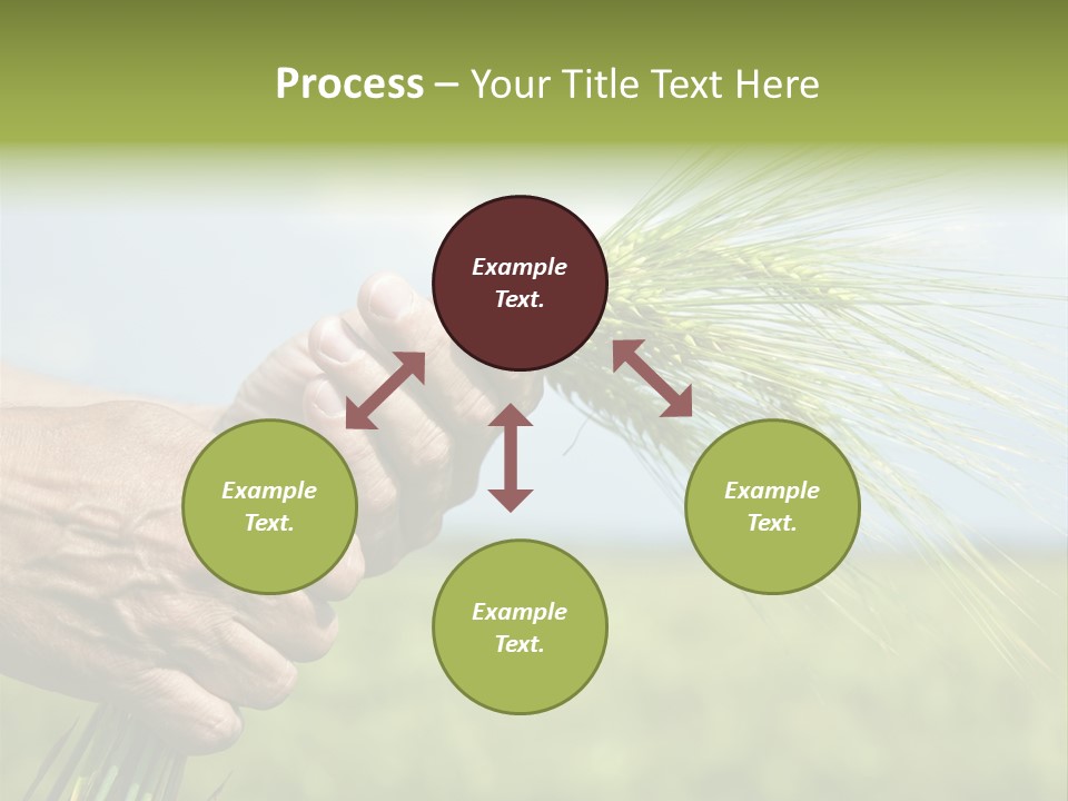 Food Keep Summer PowerPoint Template