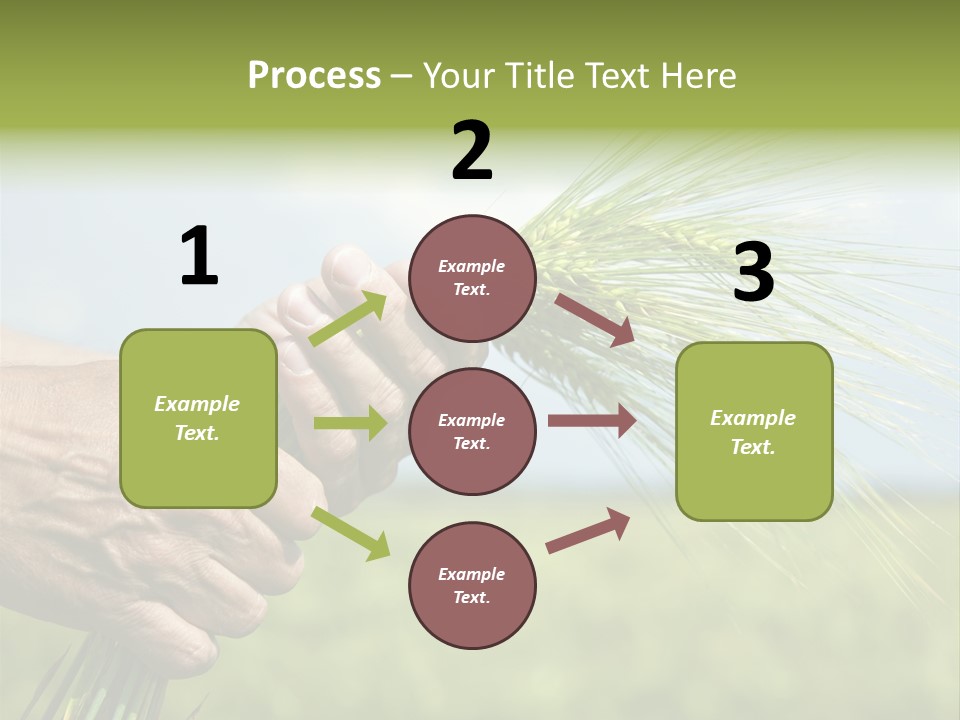 Food Keep Summer PowerPoint Template