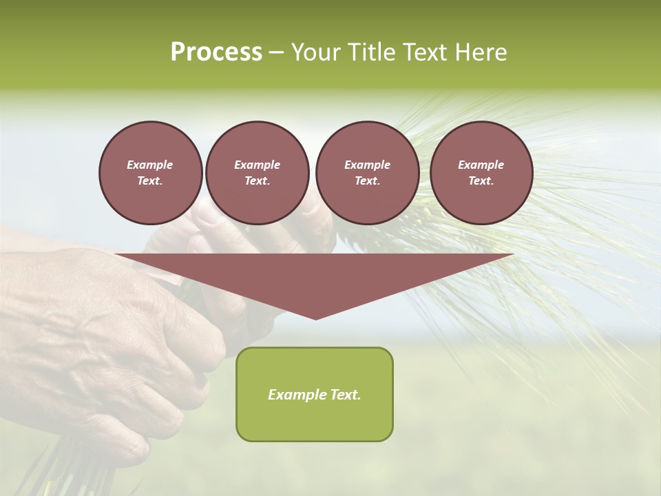 Food Keep Summer PowerPoint Template