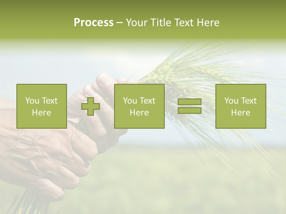 Food Keep Summer PowerPoint Template