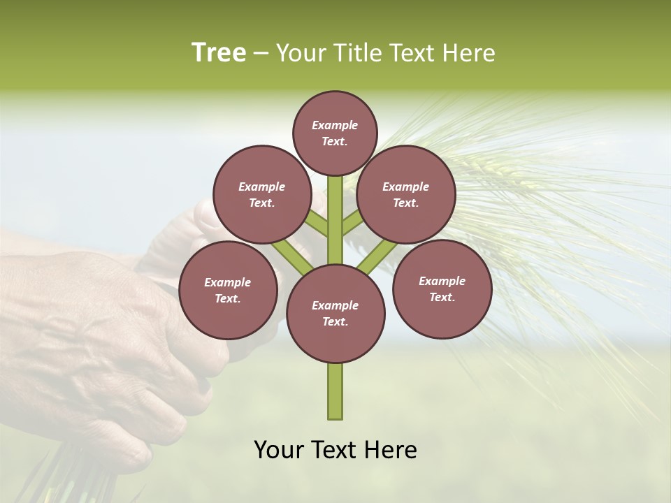 Food Keep Summer PowerPoint Template