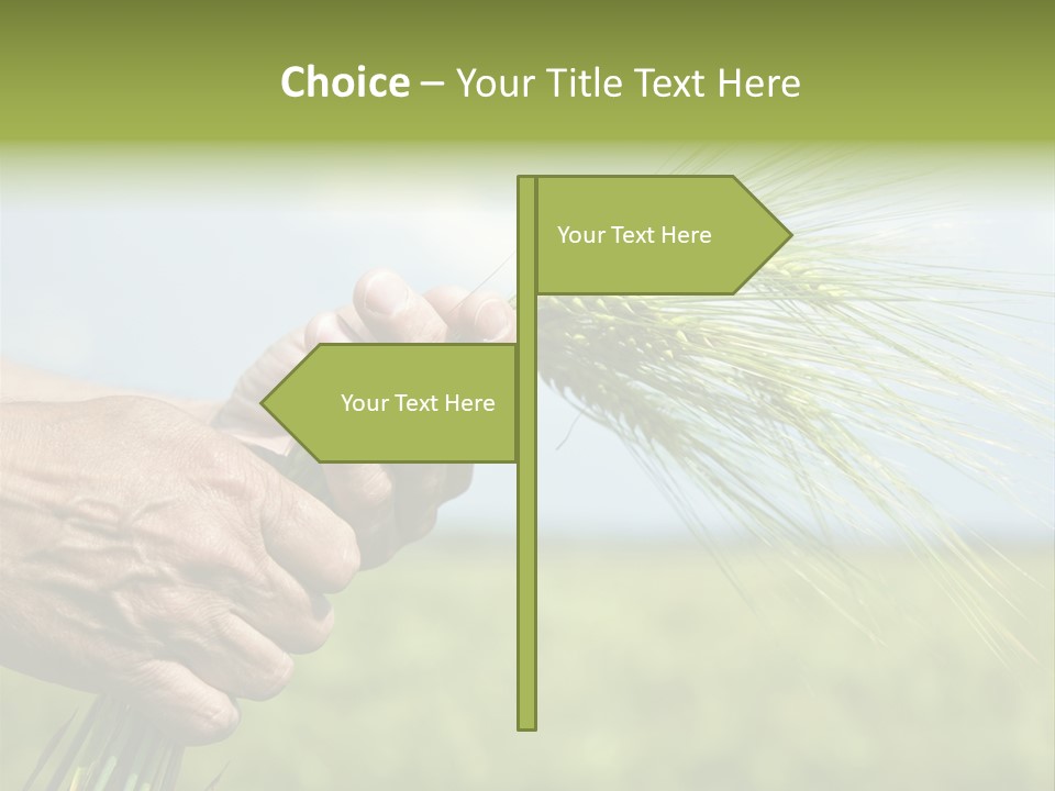 Food Keep Summer PowerPoint Template