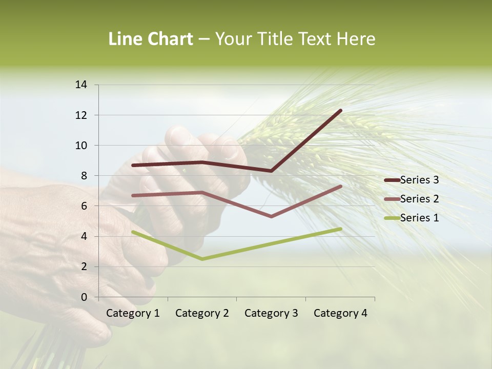 Food Keep Summer PowerPoint Template