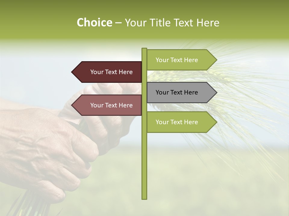 Food Keep Summer PowerPoint Template