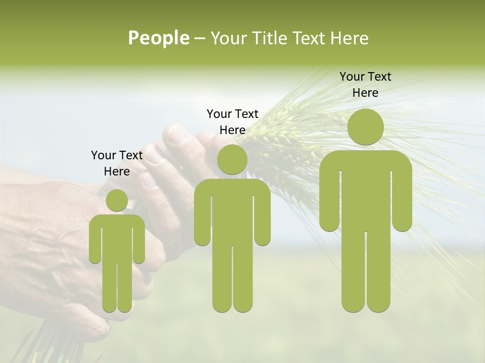 Food Keep Summer PowerPoint Template