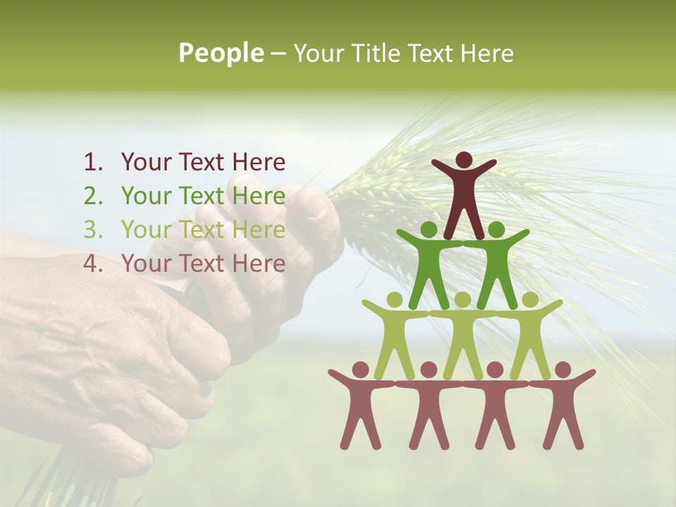 Food Keep Summer PowerPoint Template