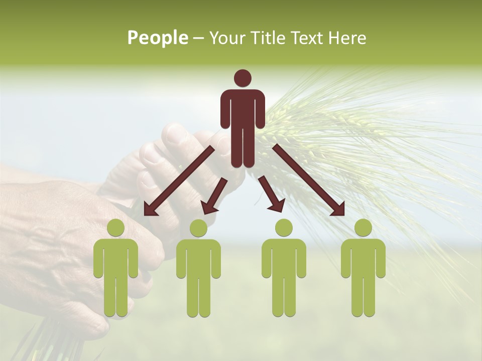 Food Keep Summer PowerPoint Template