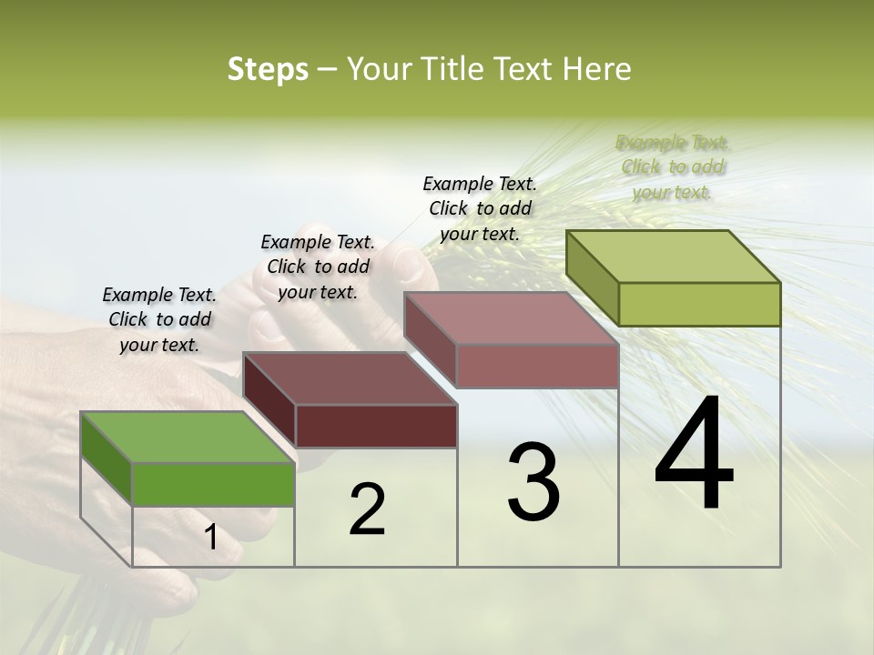 Food Keep Summer PowerPoint Template