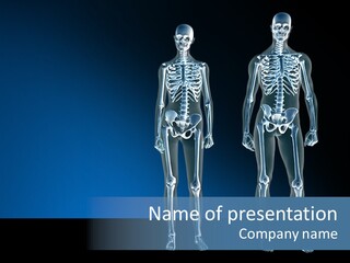 Muscle Anatomy Female PowerPoint Template