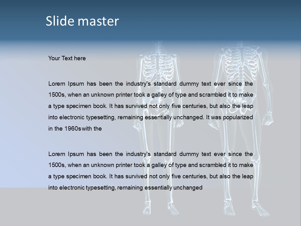 Muscle Anatomy Female PowerPoint Template