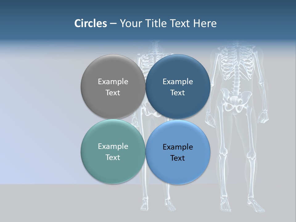 Muscle Anatomy Female PowerPoint Template