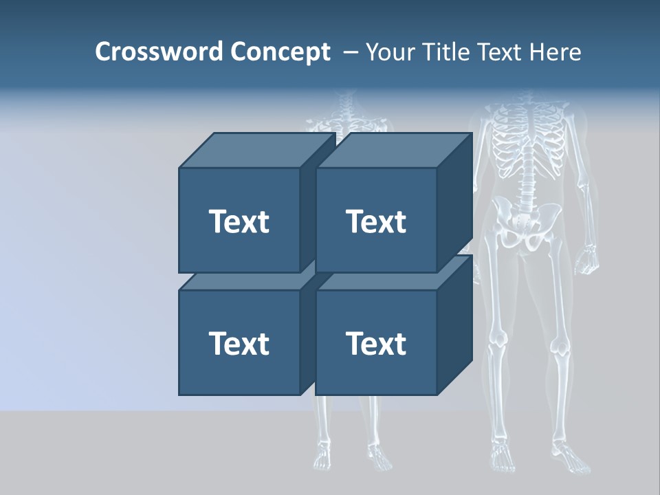 Muscle Anatomy Female PowerPoint Template