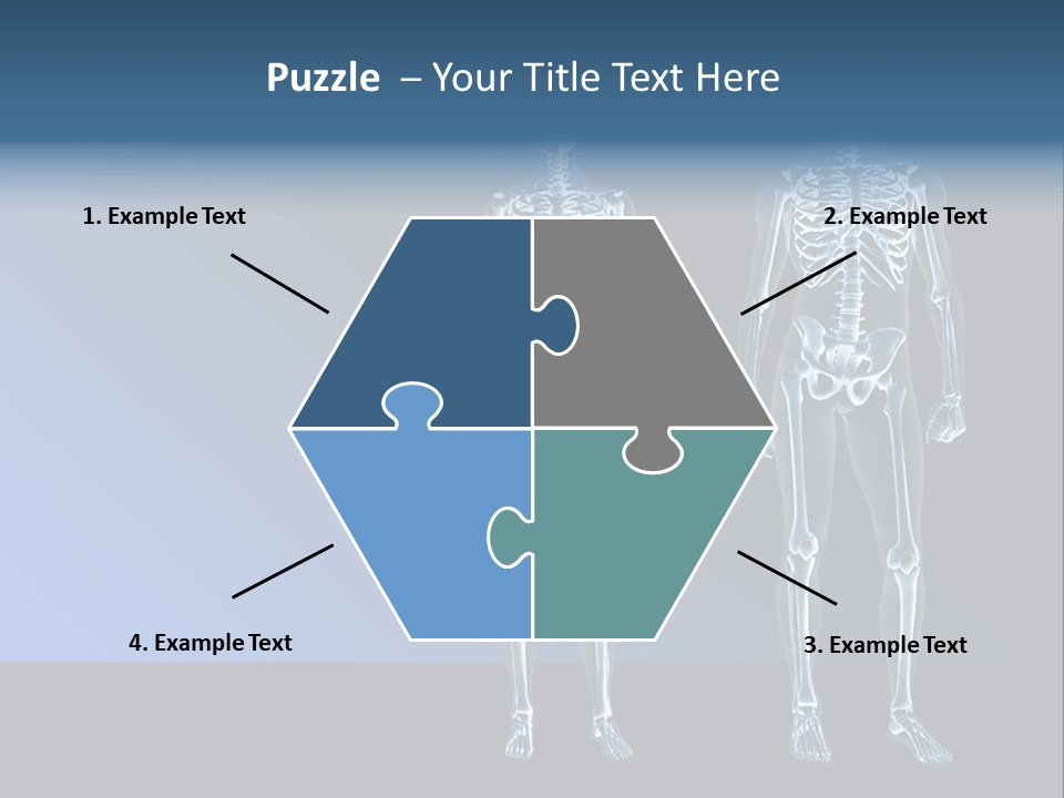 Muscle Anatomy Female PowerPoint Template