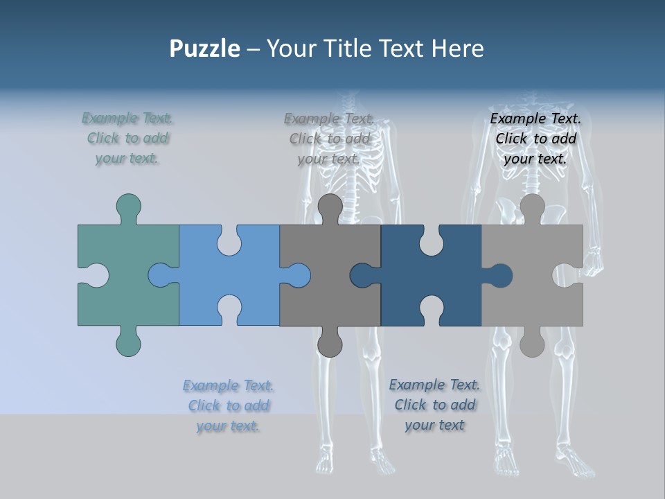 Muscle Anatomy Female PowerPoint Template