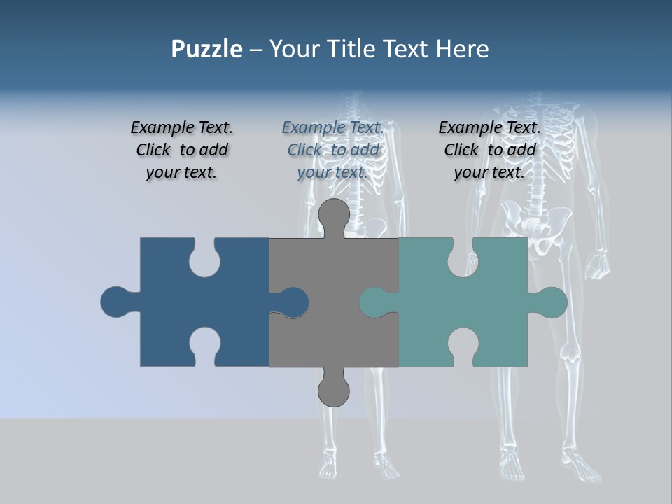 Muscle Anatomy Female PowerPoint Template