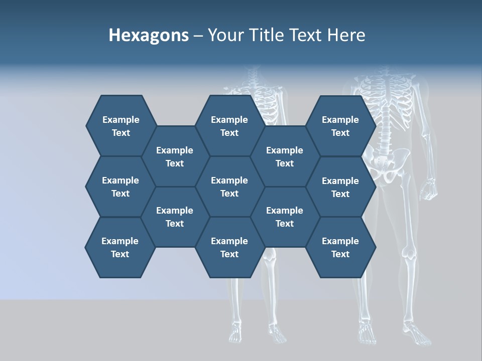 Muscle Anatomy Female PowerPoint Template
