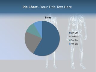 Muscle Anatomy Female PowerPoint Template