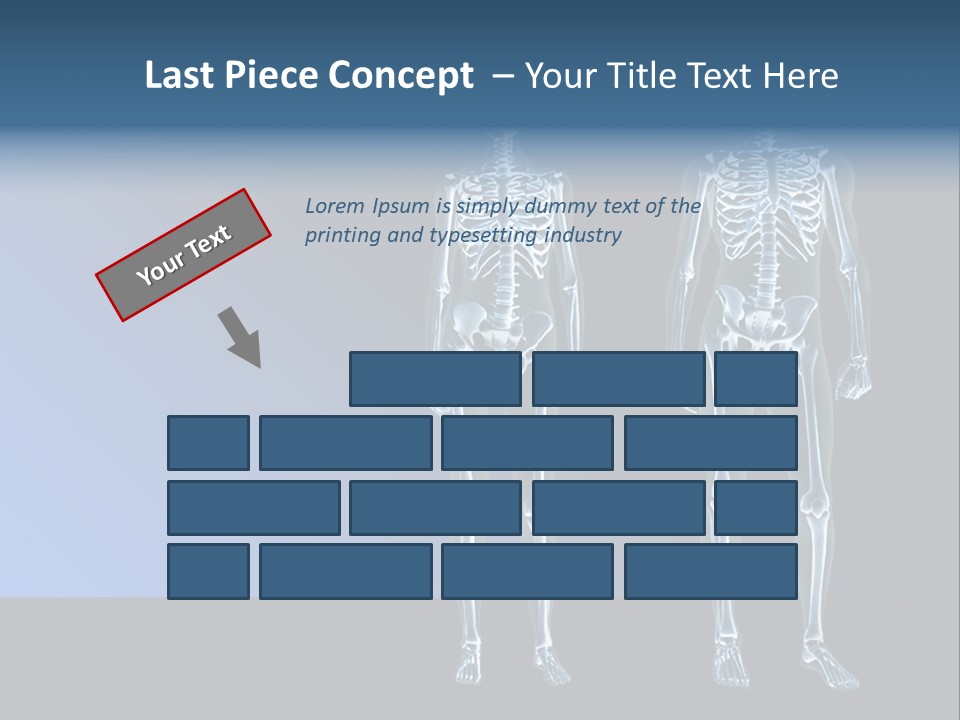 Muscle Anatomy Female PowerPoint Template