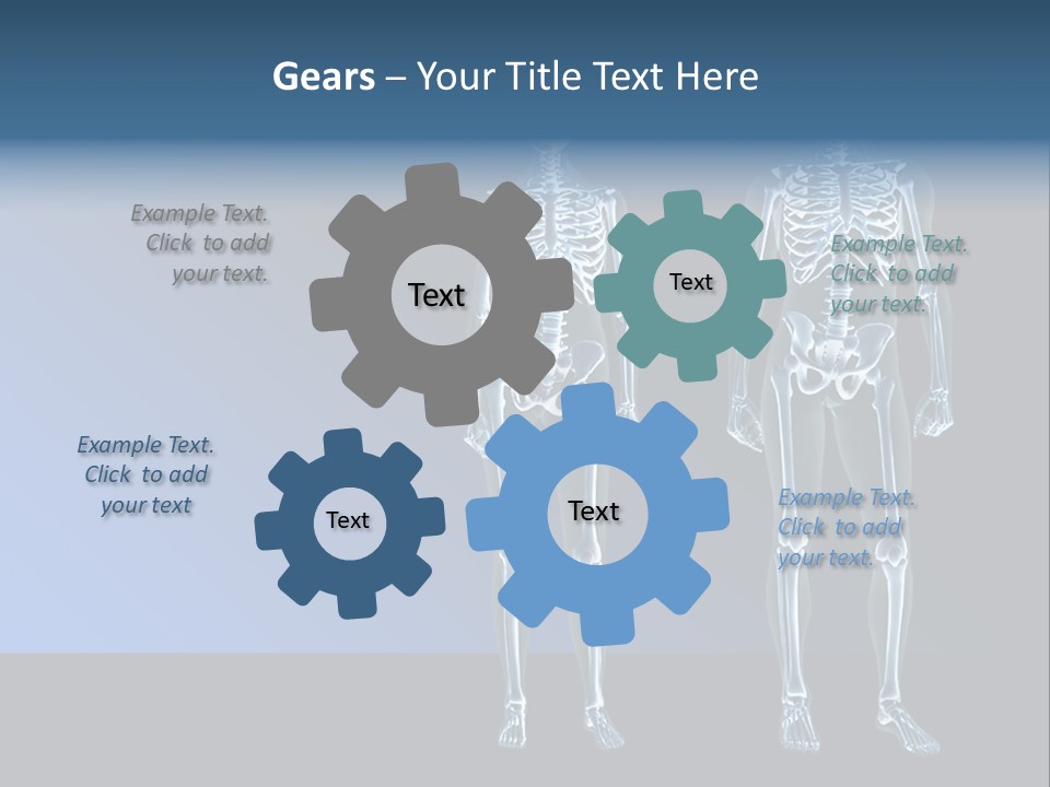 Muscle Anatomy Female PowerPoint Template