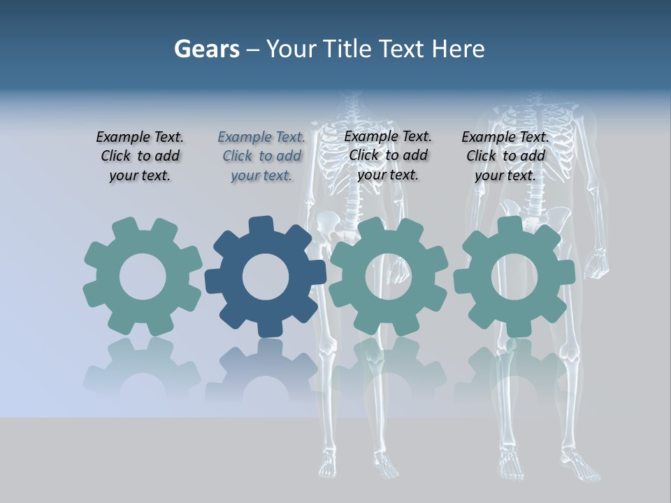 Muscle Anatomy Female PowerPoint Template