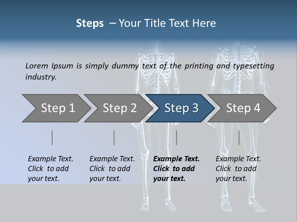 Muscle Anatomy Female PowerPoint Template