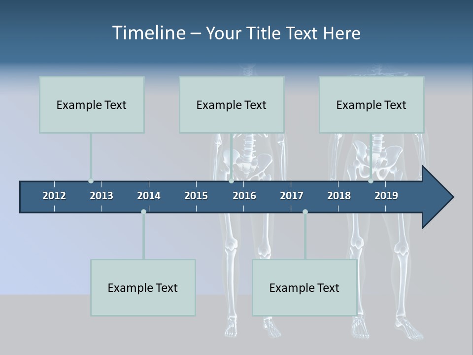 Muscle Anatomy Female PowerPoint Template