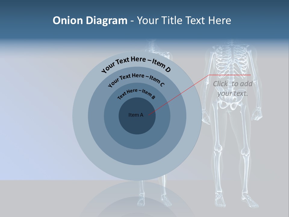 Muscle Anatomy Female PowerPoint Template