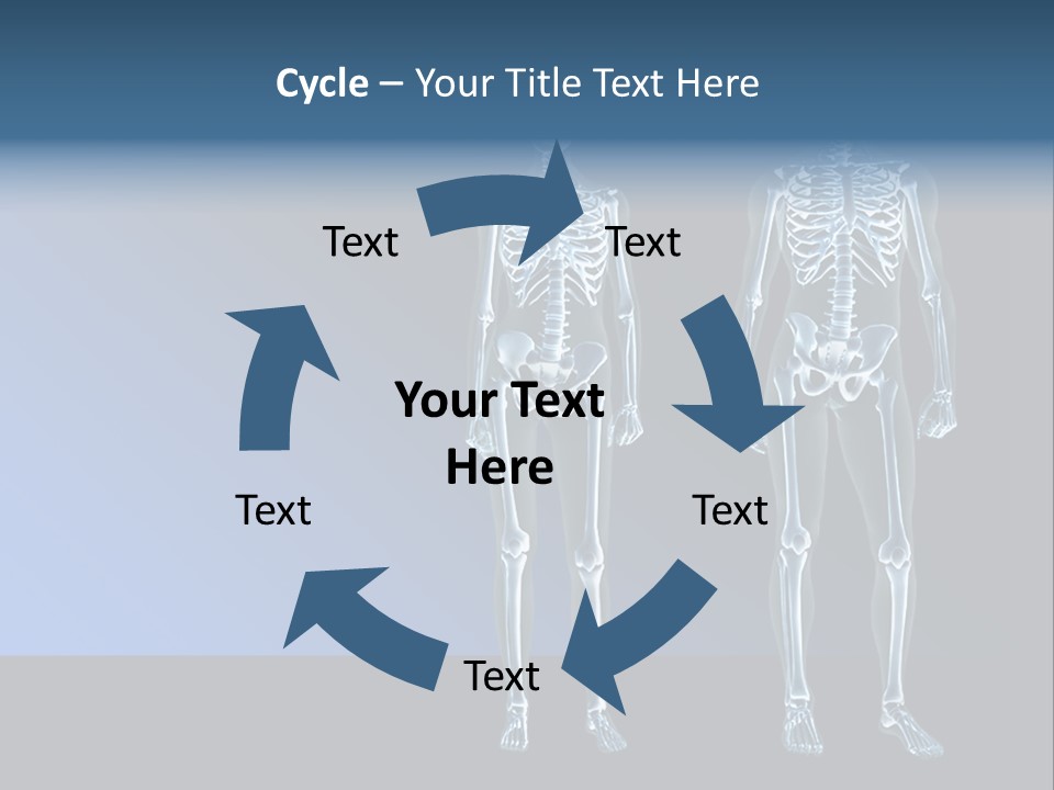 Muscle Anatomy Female PowerPoint Template