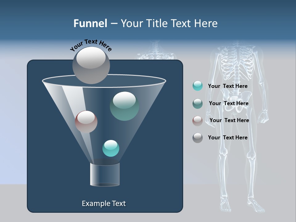 Muscle Anatomy Female PowerPoint Template