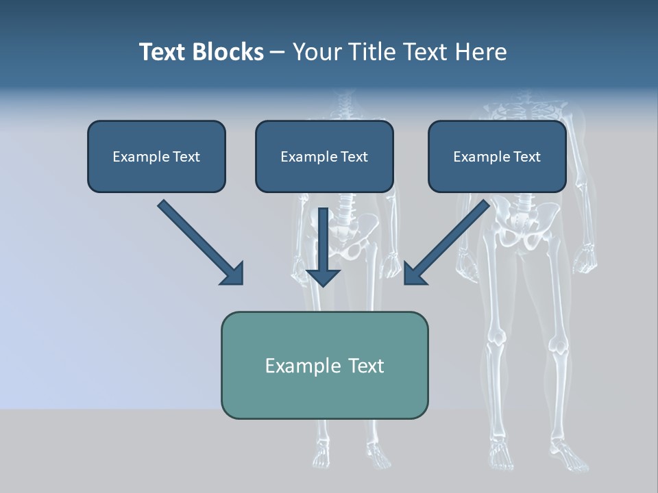 Muscle Anatomy Female PowerPoint Template