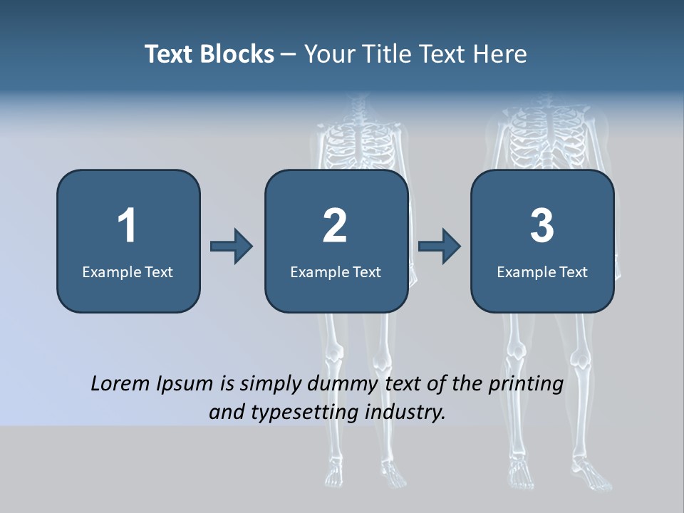 Muscle Anatomy Female PowerPoint Template