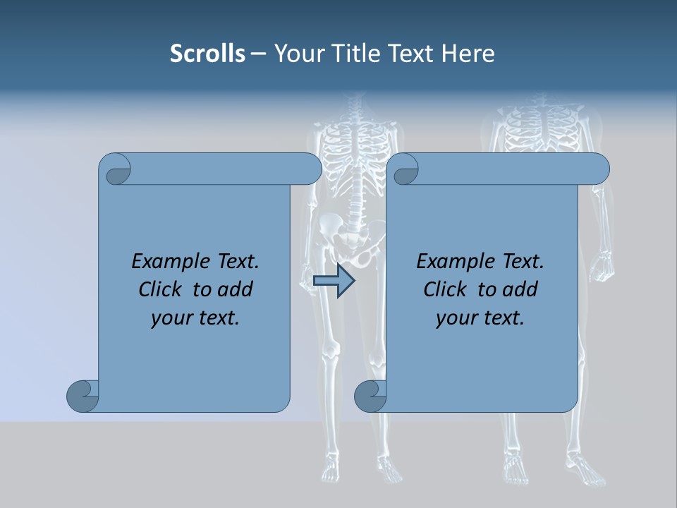 Muscle Anatomy Female PowerPoint Template