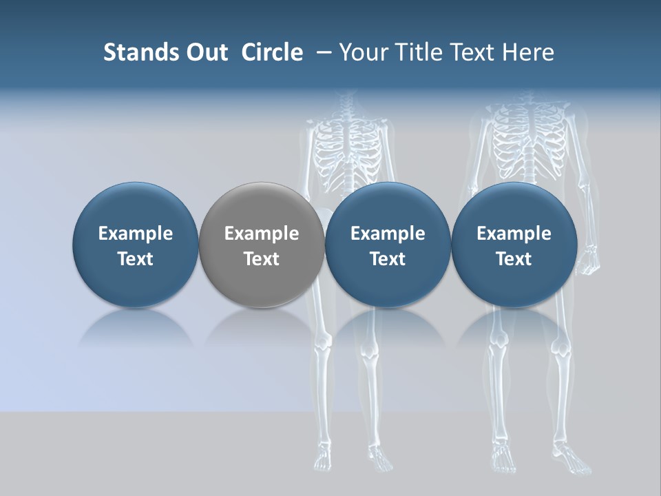 Muscle Anatomy Female PowerPoint Template