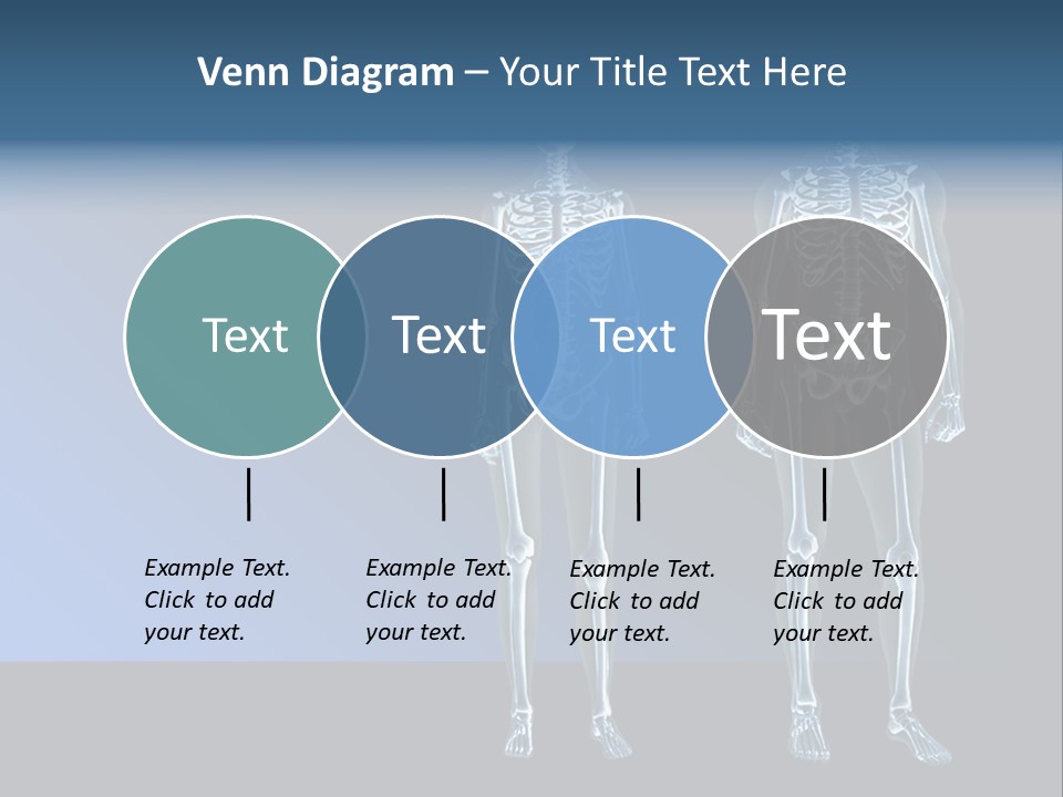 Muscle Anatomy Female PowerPoint Template