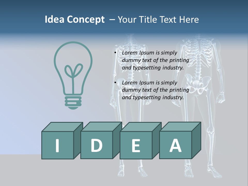 Muscle Anatomy Female PowerPoint Template
