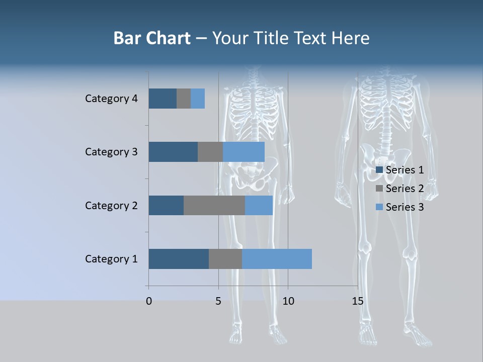 Muscle Anatomy Female PowerPoint Template