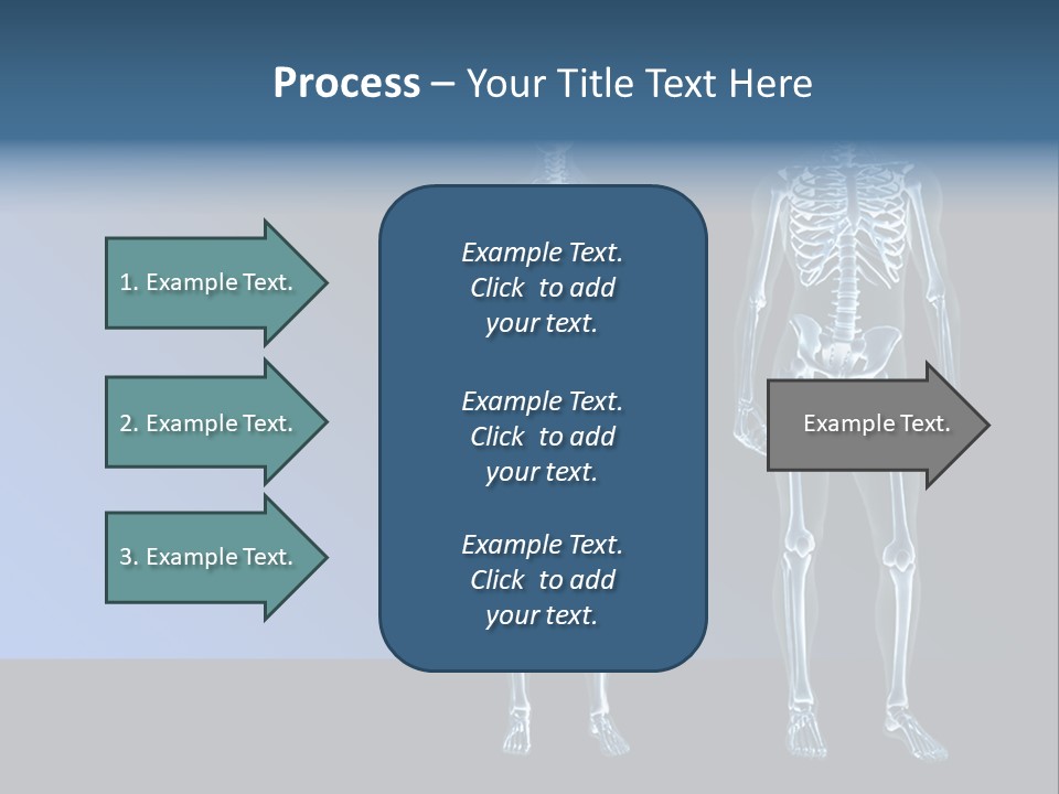 Muscle Anatomy Female PowerPoint Template