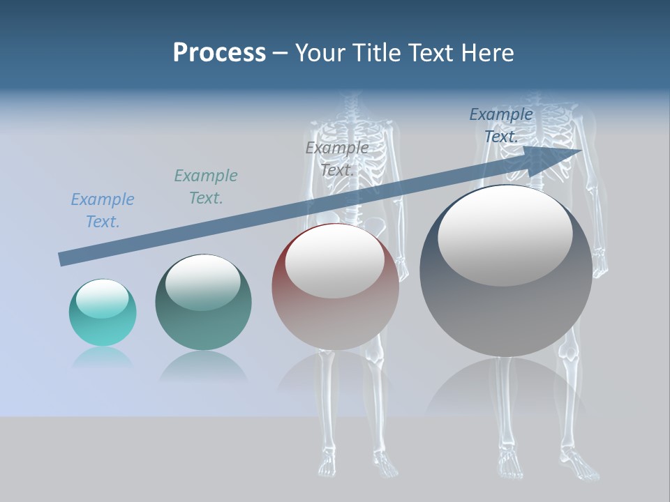 Muscle Anatomy Female PowerPoint Template