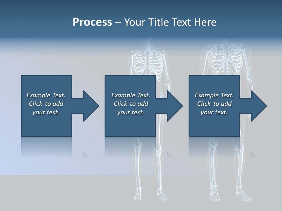 Muscle Anatomy Female PowerPoint Template