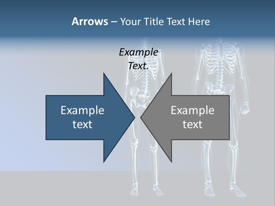 Muscle Anatomy Female PowerPoint Template